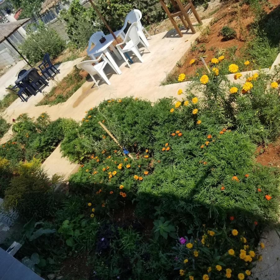Rey Garden Villa Vlorë Exteriér fotografie
